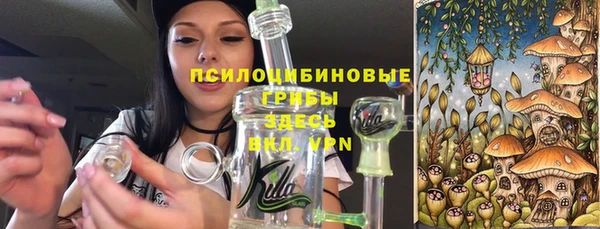 ГАЛЛЮЦИНОГЕННЫЕ ГРИБЫ Абинск