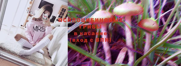ECSTASY Абаза