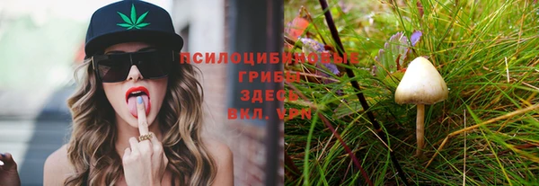 ПСИЛОЦИБИНОВЫЕ ГРИБЫ Алексин