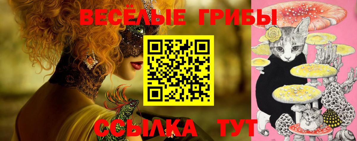 Псилоцибиновые грибы Cubensis Якутск